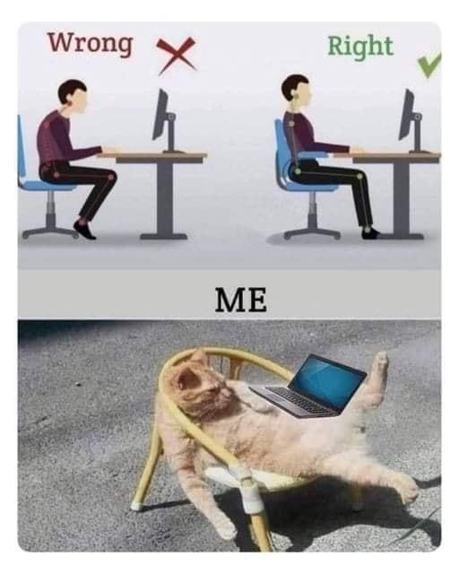 image.jpeg.2a776aab927c095015e2f26a22e6c107.jpeg