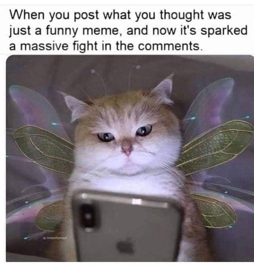 image.jpeg.bde02381cc6ccdd3a2e38dfc612e1d9d.jpeg