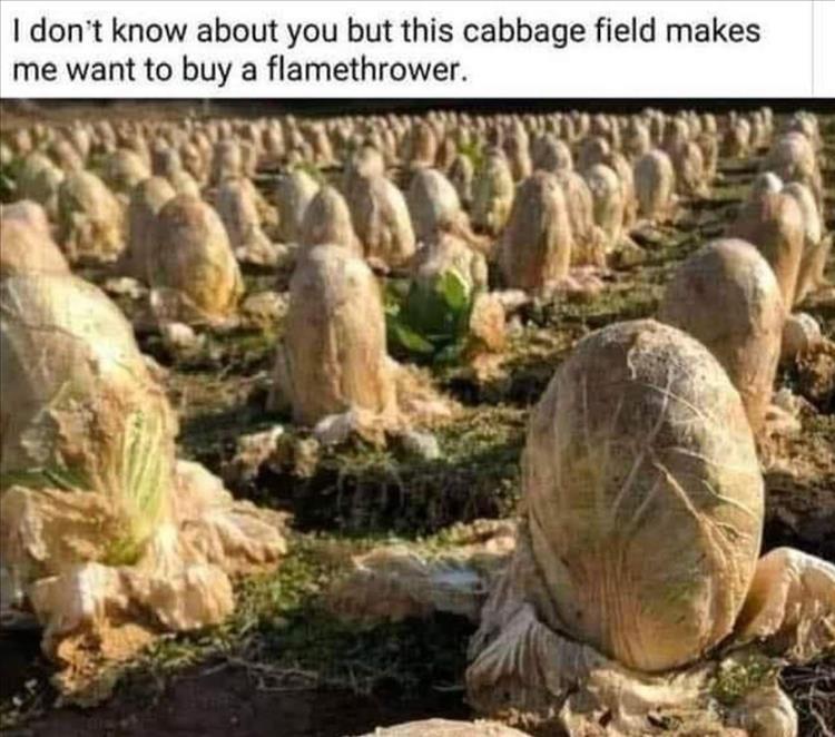 image.jpeg.f8531454e66dd46a1476be8e489830da.jpeg