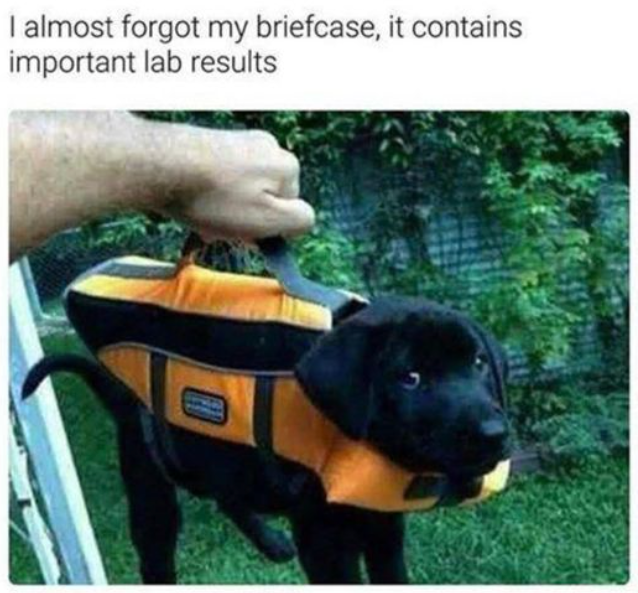 image.png.0855702de0f0ae4a6ec38649799f6237.png
