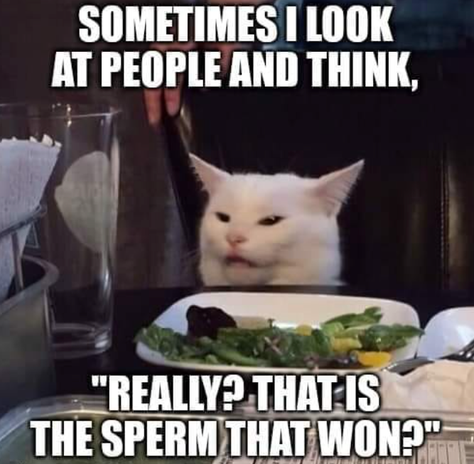 image.png.f6d4f40b1e6b15085f12eb17699c9fbd.png