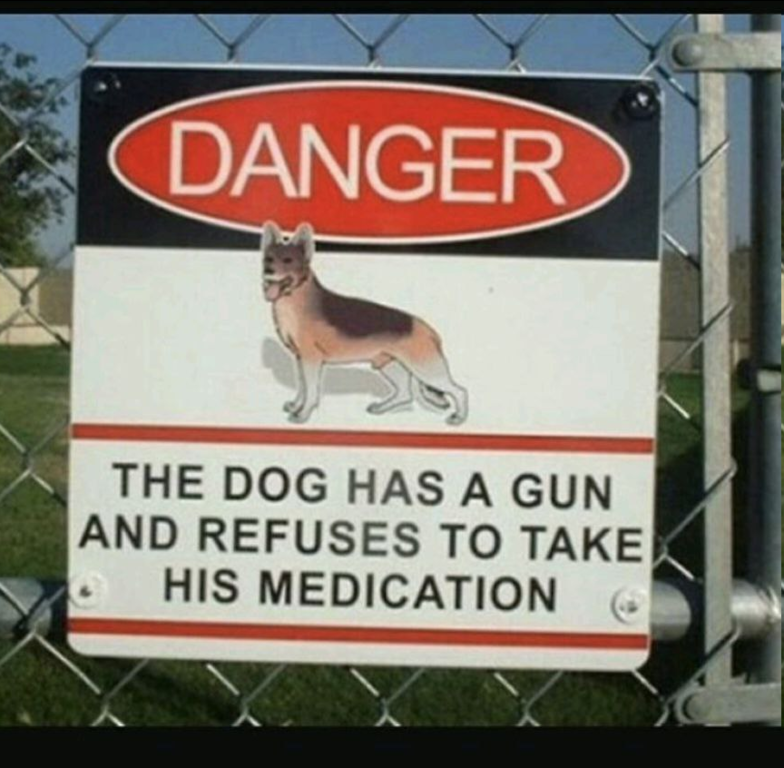 image.thumb.png.45159dcb0079ddaf122f4a6fe7058869.png