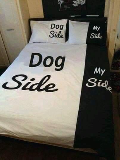 image.jpeg.756b0b62bb924a38988b02acdf239c6d.jpeg