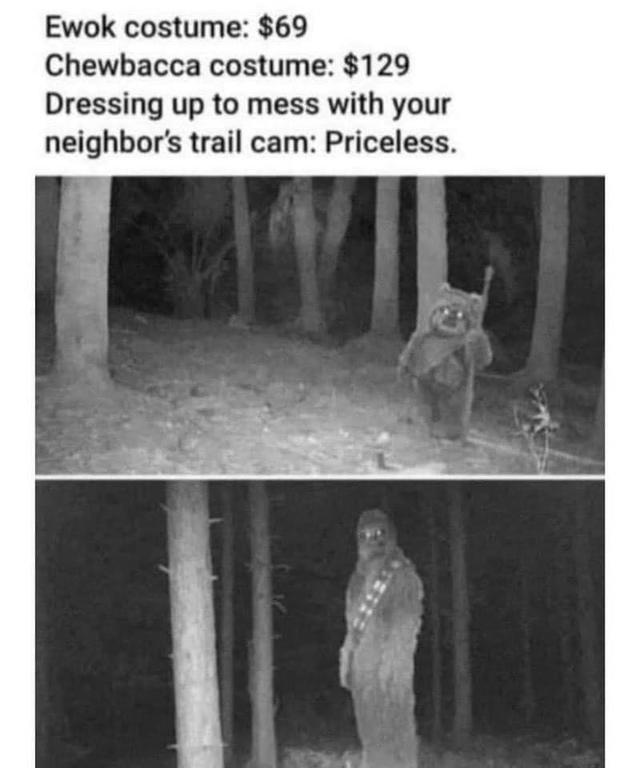 image.thumb.jpeg.c5f035315719e8e305461ac40f34376d.jpeg