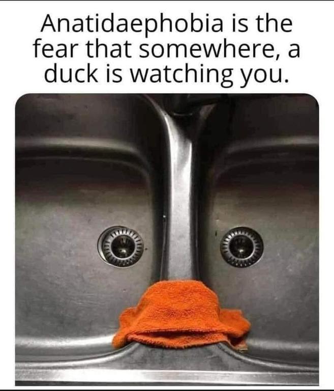 image.thumb.jpeg.fb22d934c1c04271a7b553c09c14621e.jpeg
