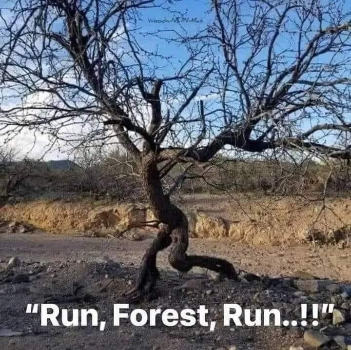 image.jpeg.c49d247957b72e75720ae80ab73f45ee.jpeg