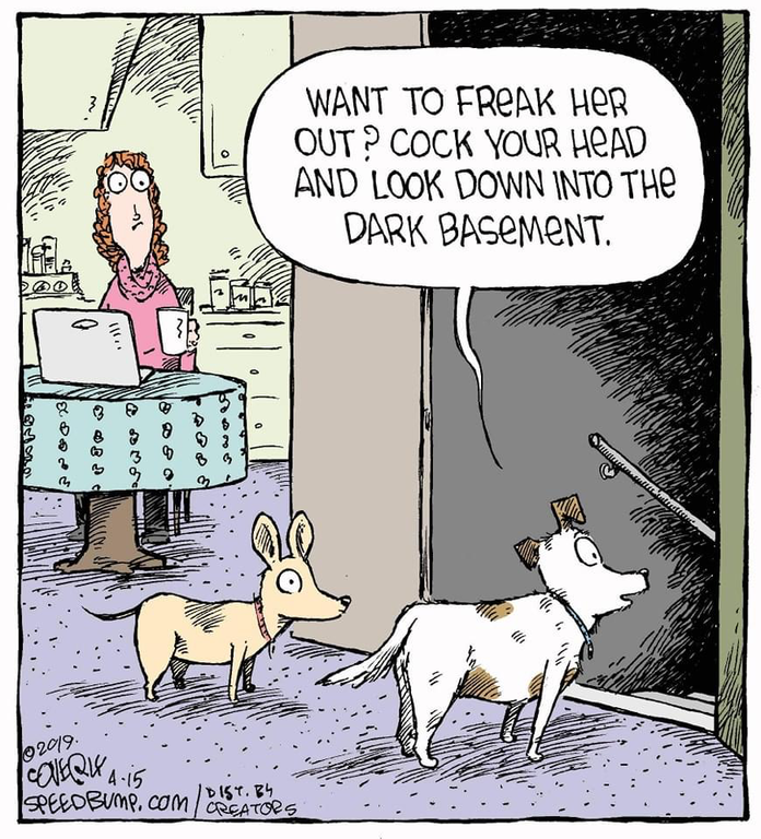 image.thumb.png.992dca0530441584b8c904b4e5258b40.png