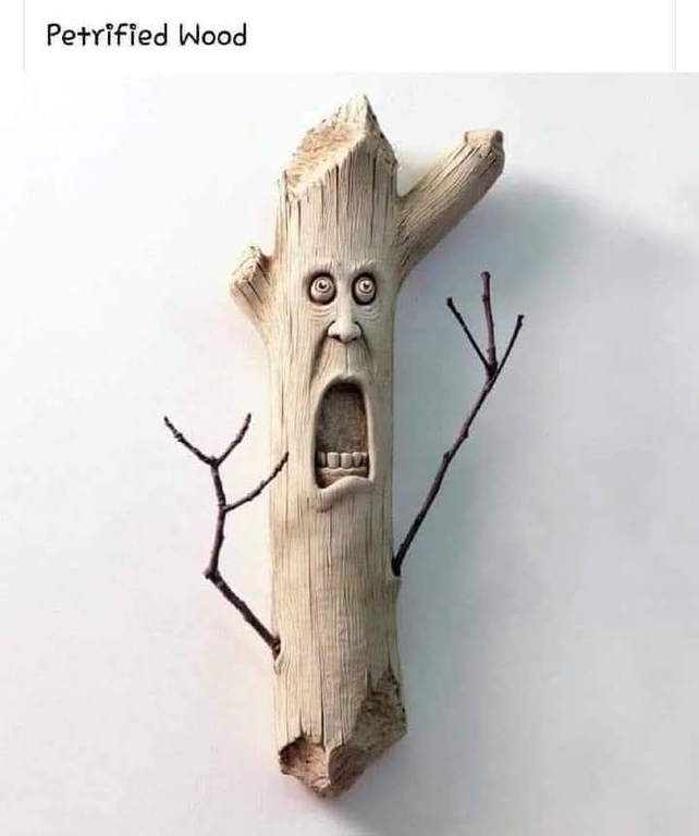 image.thumb.png.9b6cbf88738093ad8978bddad6d06911.png