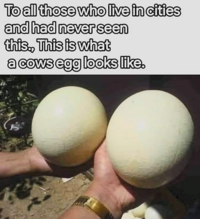 image.png.9eefb864a76348f6501448c93f15f4c8.png