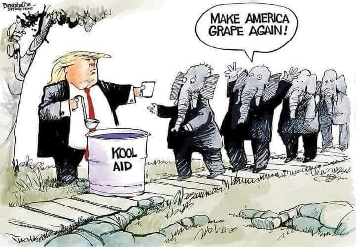 KoolAid.jpg.6df6f2d7059bab7f5fdfe6a314c092db.jpg