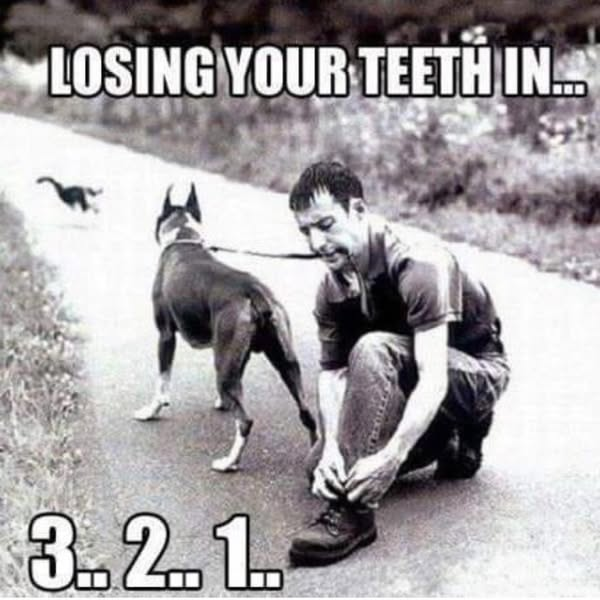 image.png.678254a47452ee8f4d812a8e4c5be4bd.png