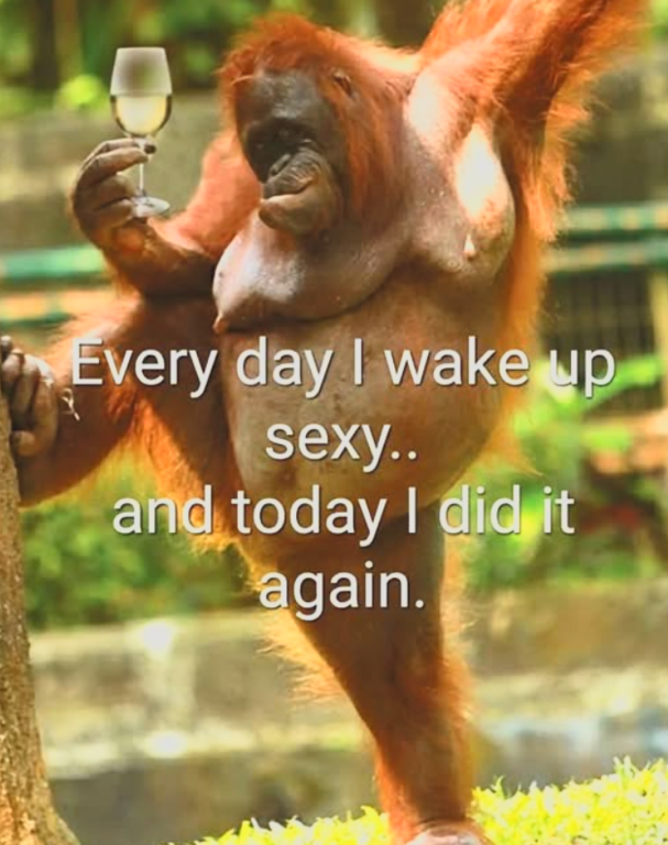 image.thumb.png.ae0c0eb1f49e809f3f6f621bdda6f830.png