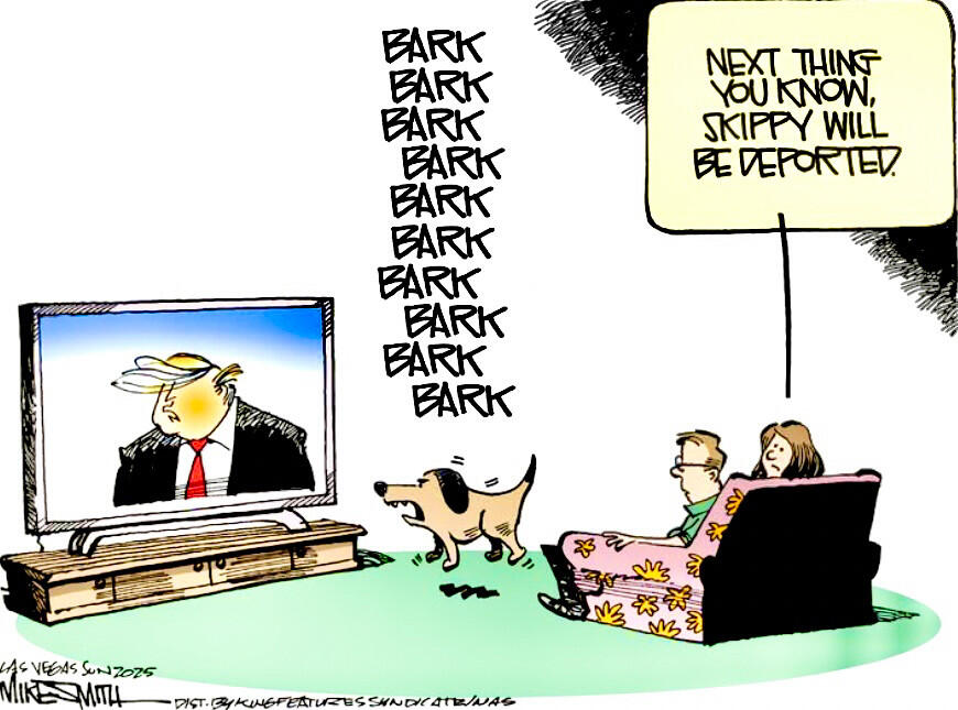bark.jpg.60f2ba1998428cdc1e73ea76349d09cb.jpg