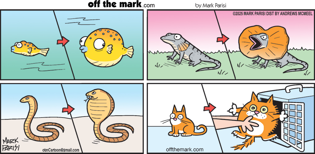 image.png.1942eaafd2545989195057c2cb8ae2b5.png