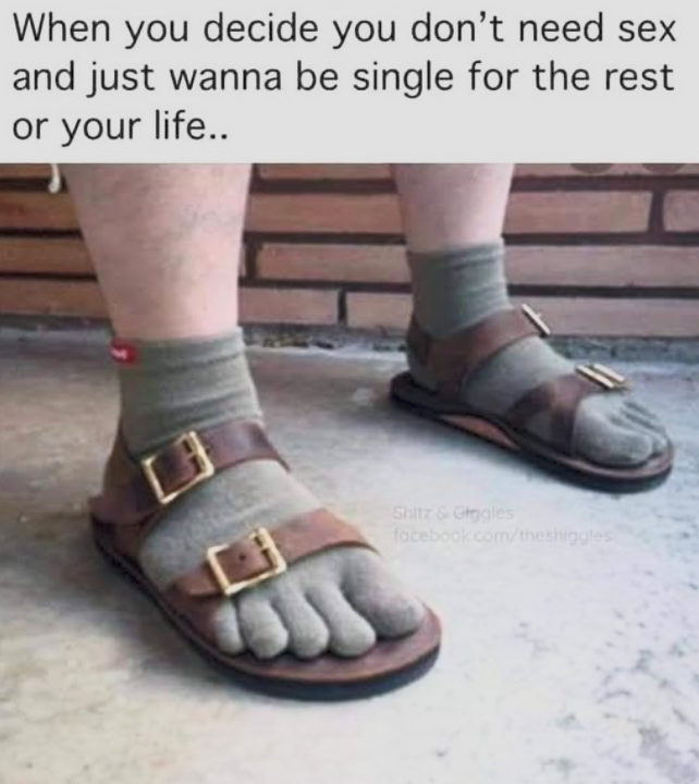 image.png.5c06005934806e5c35fccda5ef56d203.png