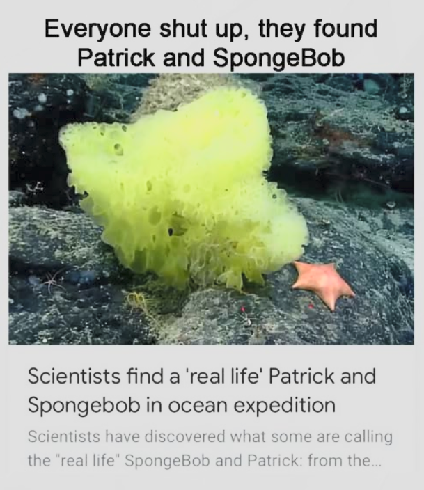 image.png.5e7b855eca1c2f8b031b8c90896682e8.png