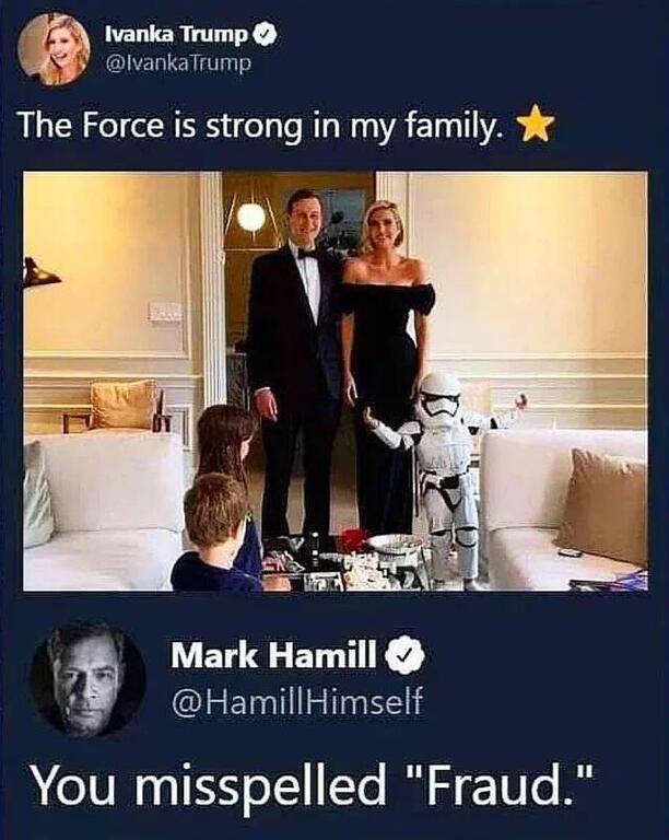 in-the-spirit-of-star-wars-day-v0-mac8he32bvye1.jpg