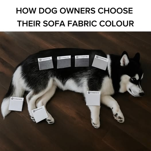image.png.be5abcf417d9fd325b5576ebdfafdef6.png