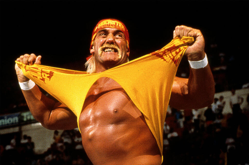 wwe-hulk-hogan-bret-hart4.thumb.jpg.7240ca1e281e3732797851205ca2c8ce.jpg