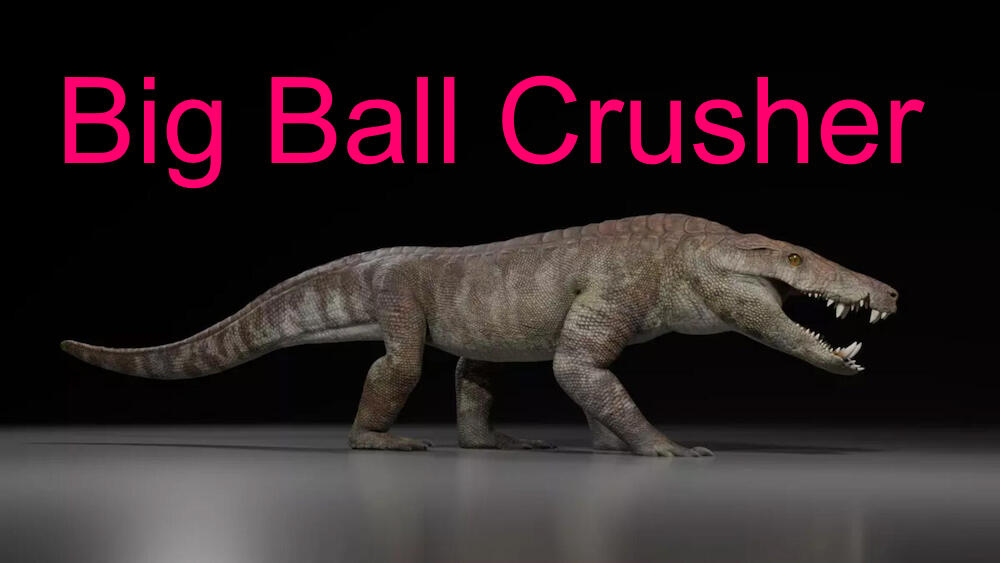 BigBallCrusher.jpg.ab69b148b7b2d996c204ad5f059b01e4.jpg