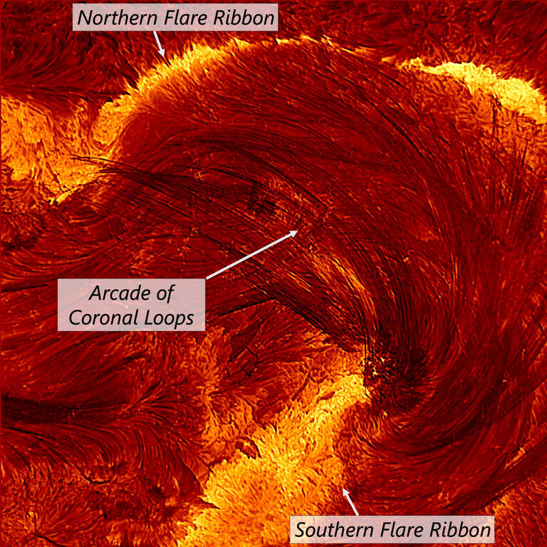 Solar-Flare-Loops.thumb.jpg.a08802e811e3dad9bd51575607ee79b7.jpg
