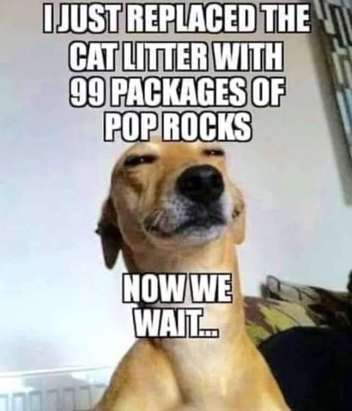 image.png.337fb4a61aaf49930bd3b76543d897da.png