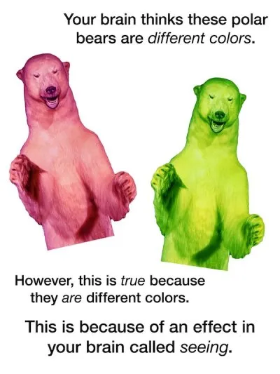 image.png.428e468a0a5cbfe68f75e8a0783301da.png