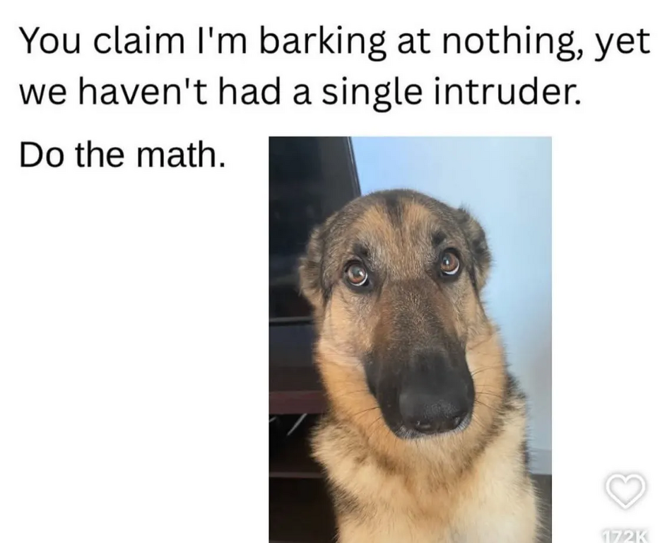 image.thumb.png.a04c512578753cd81ffccec8b83f9851.png