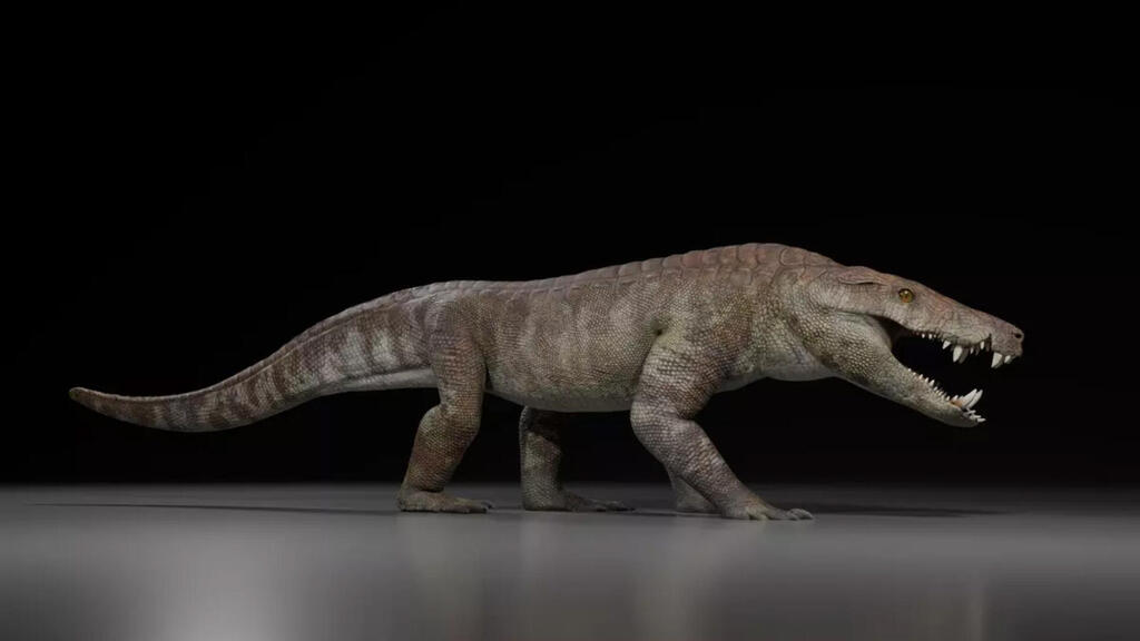 image_14175e-Kostensuchus-atrox.thumb.jpg.274b8b392dafaeb089c9abb8ee9093bb.jpg