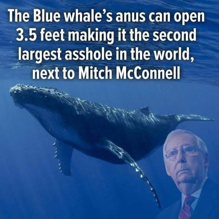 McConnell.jpg.e330076e07034703fda013b6f4186d76.jpg
