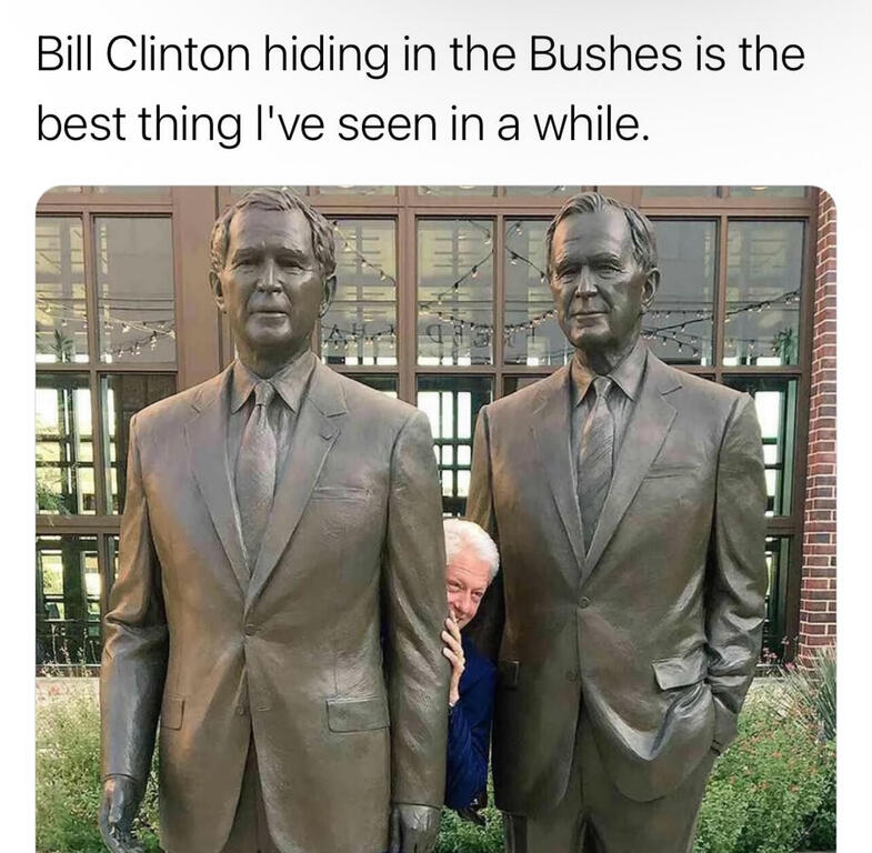 TheBushes.thumb.jpg.f47370c69988a1f00ec331c0cfac4d5c.jpg