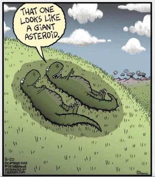 asteroid.jpg.ee370cbc69c139f1256c82e004587fdf.jpg