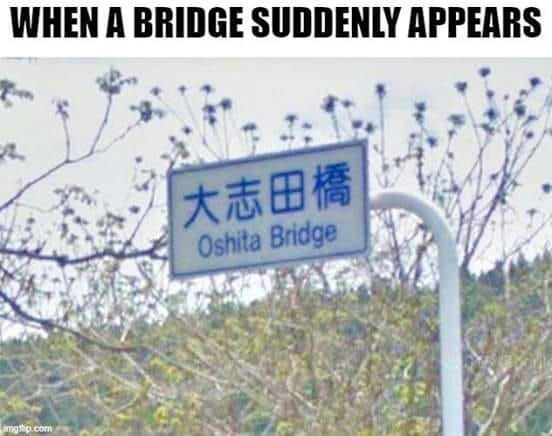 bridge.jpg.33233531cfad411656da155ad6223c7b.jpg