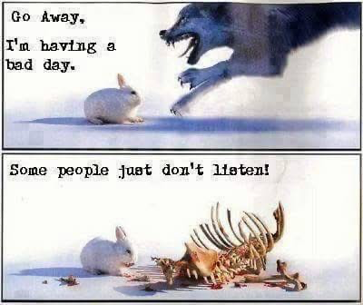image.png.37820854e52a4ae6445183b960028e07.png