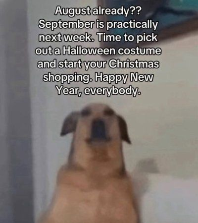image.png.a20234da0c41d3cfcfc96f2bbdbee84b.png