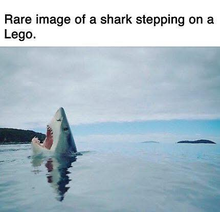 image.png.cc911d633172ea3d7a607cb46970617b.png