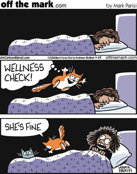 image.png.d61b48fb4297ff19728e3a38024f5ea0.png