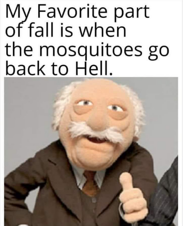 image.thumb.png.bf3c5f7f85d6f0d10115cc5f8c668157.png