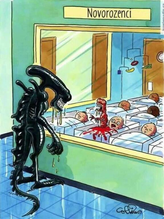 WhatsAppImage2025-10-18at19_19.05_61299a50.thumb.jpg.5b945929d40a06dcedefd8525549ec46.jpg