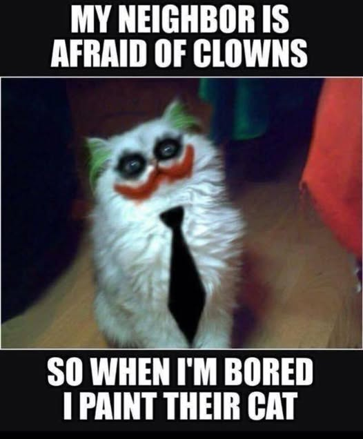 image.png.9b8cb2ec1eda091c5717384b575ac6b9.png