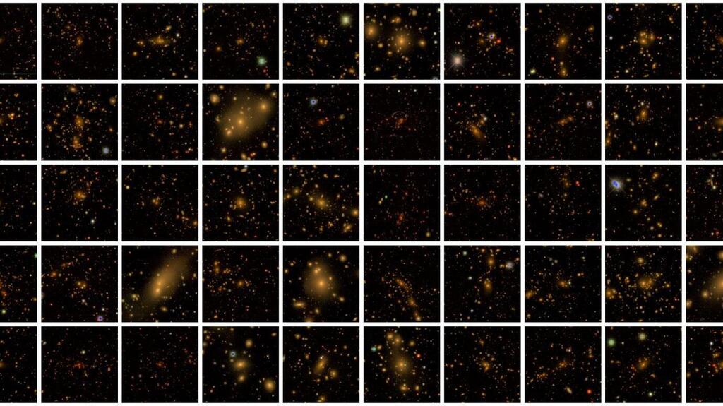 scientists-release-new.thumb.jpg.ac84614146ffeaf82e0372a852dfaa22.jpg