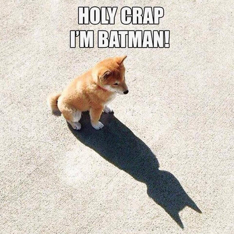 Batman.thumb.jpg.6fa297acb933e0d38c45f457a158c282.jpg