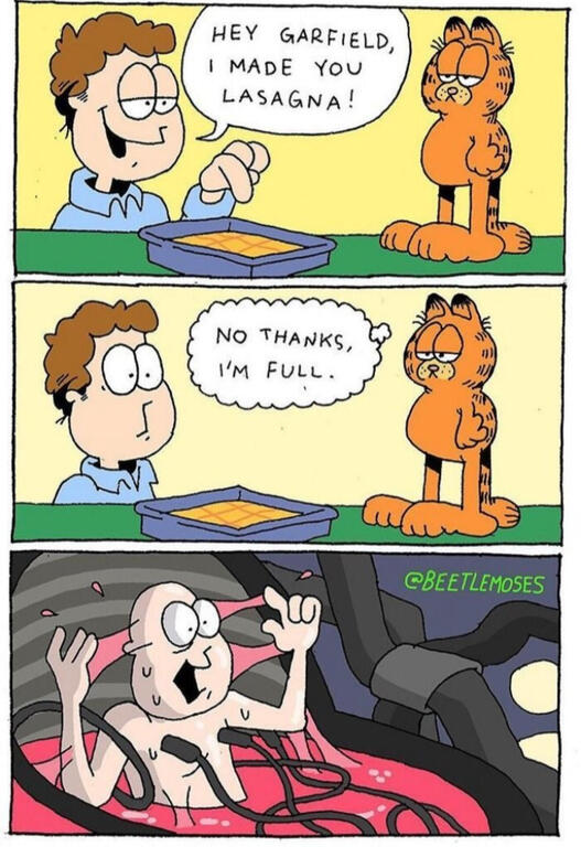 Garfield.thumb.jpg.170da021fe30c63e343b4bb662bb709c.jpg