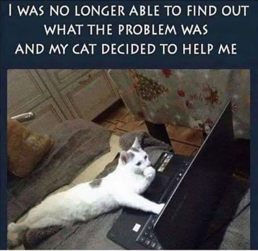 image.png.1d5f150447bfac1b275ae29520ffb094.png