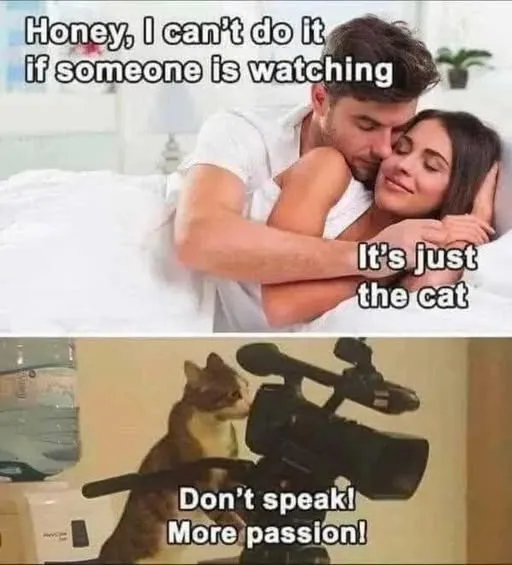 image.png.231889ff1e276de053873db48eda20ce.png