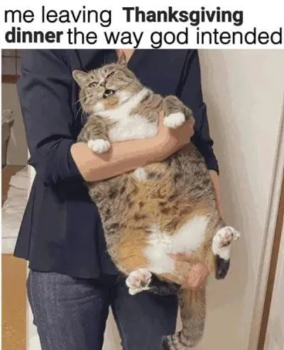 image.png.4659325ada3b44729943def8b36ad0bb.png