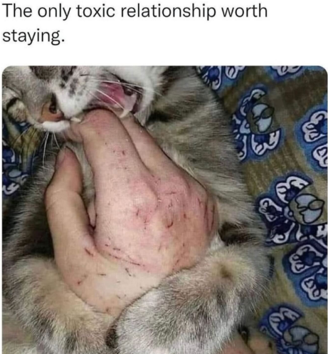 image.png.56739cf52487846571ac5f5f785a9a98.png
