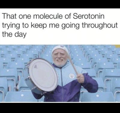 image.png.7827ea4449ebb66633b5bf8d93891084.png
