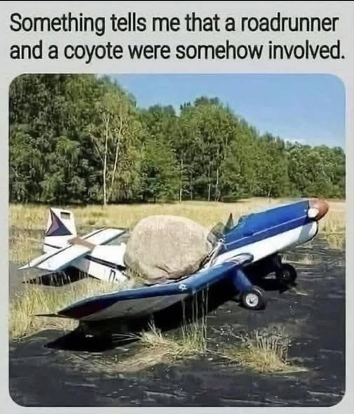 image.png.f018369a0f18851f42bb9dc166af04dc.png
