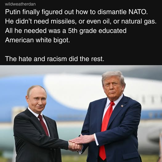 image.png.f8934d5c2a7424291dff8f07c02e1a0b.png
